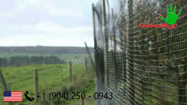 Poultry netting as fence on forest applications