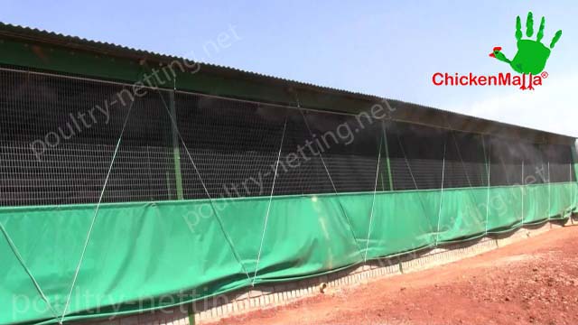 Poultry netting for hen house building