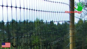 Poultry netting installed in a field